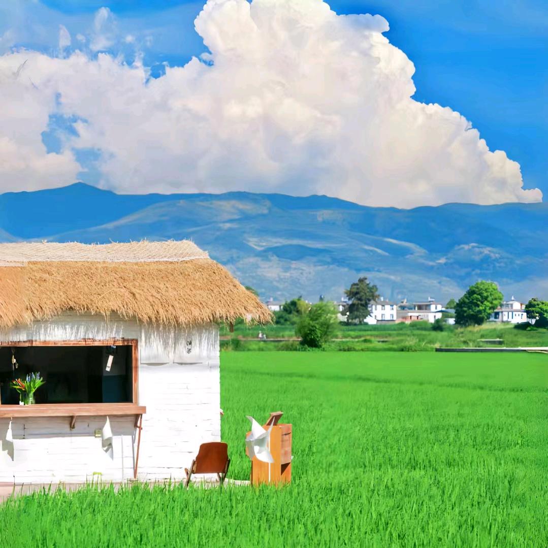 山海定制师