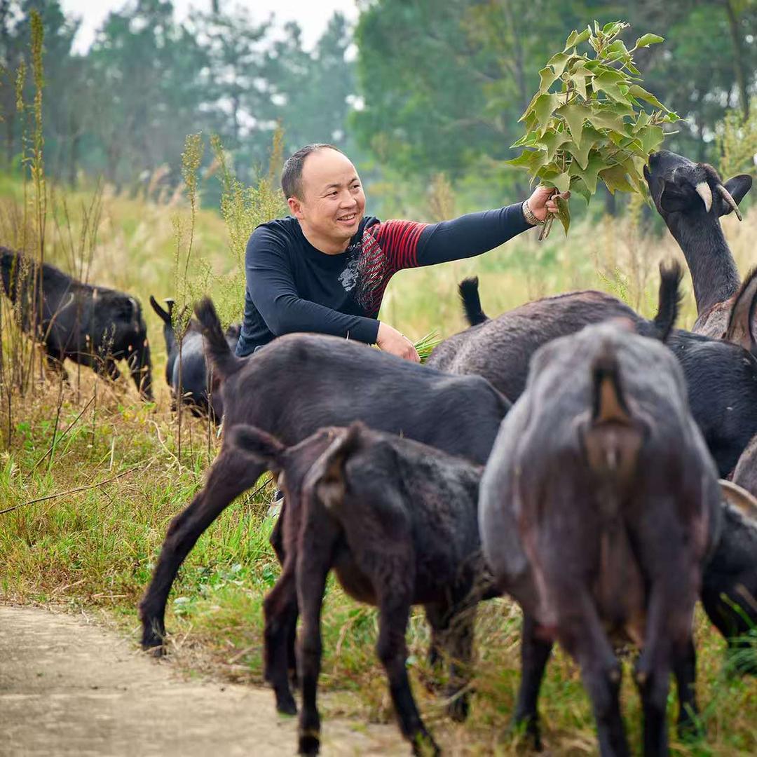 （老方）锅友三锅菜