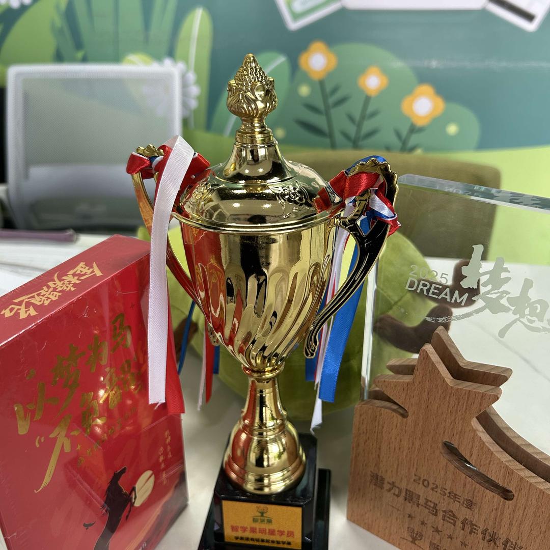 天津塘沽智学果邢老师