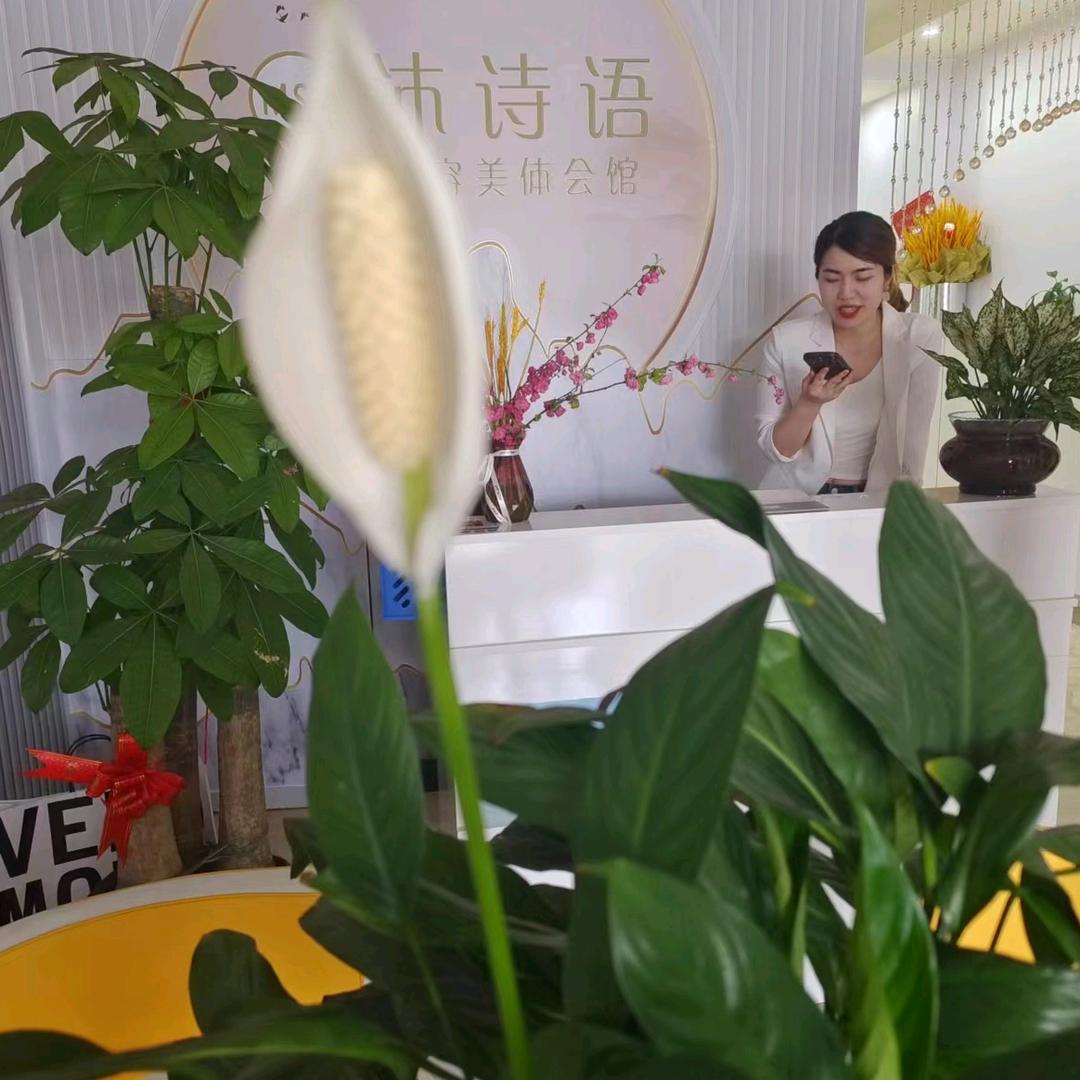 洋琳之美(幸福路店)