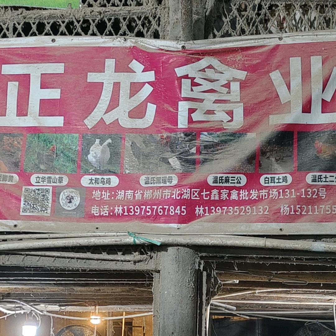 郴州正龙禽业