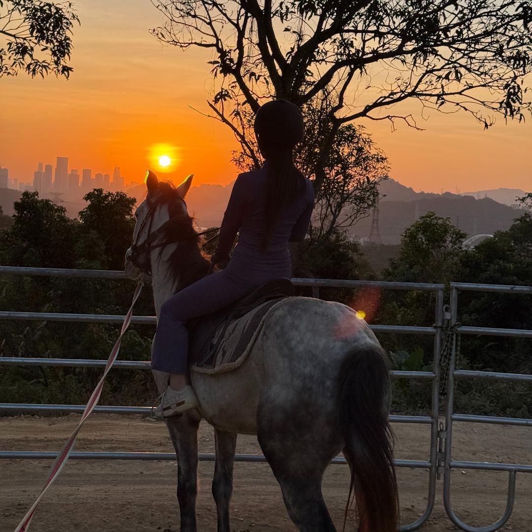 深圳骁骑营马术俱乐部