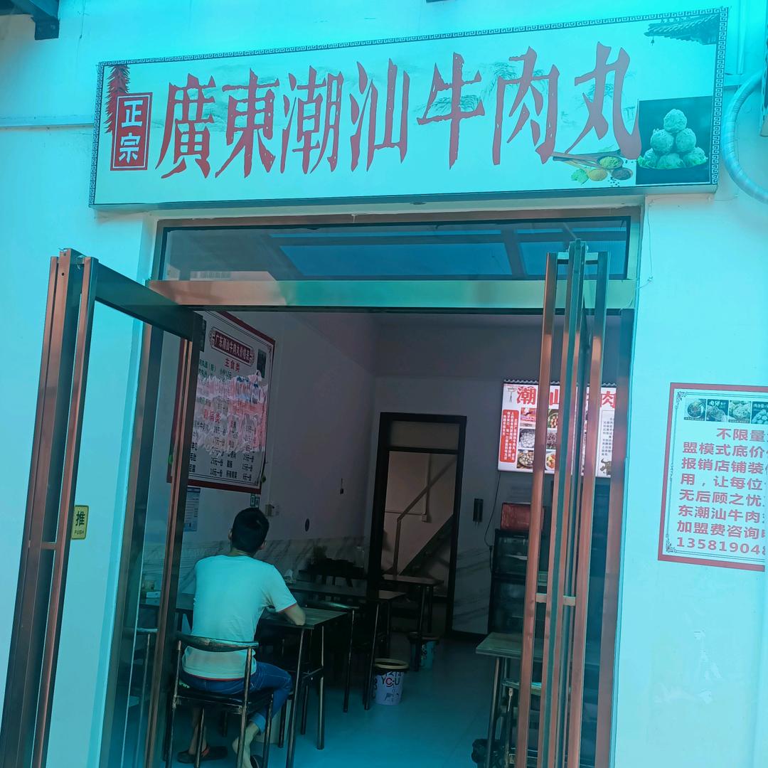 正宗广东潮汕牛肉丸