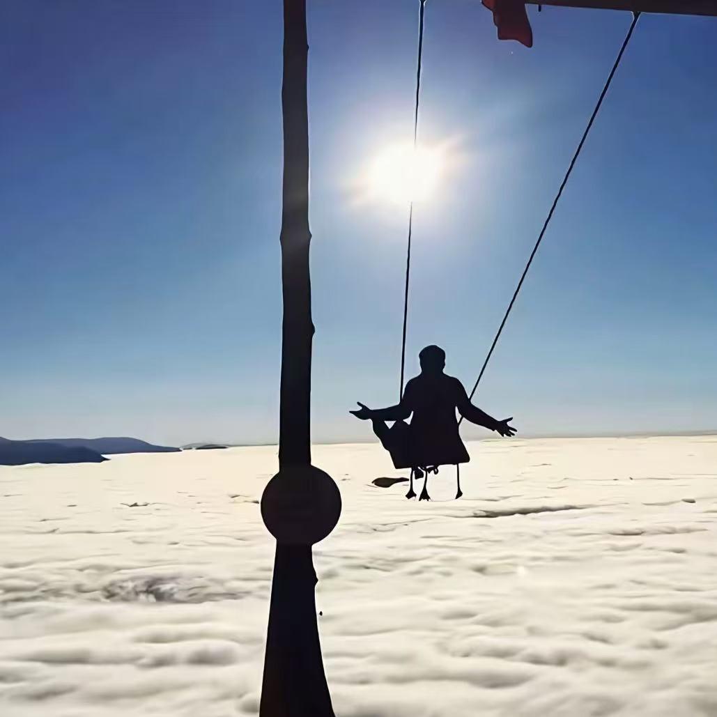 联汇览智宠粉号