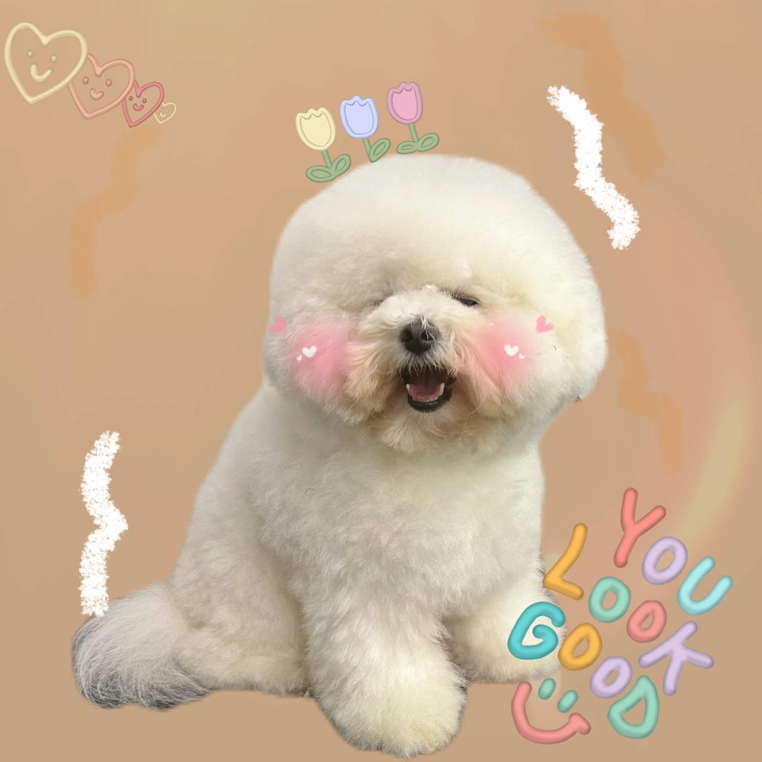 姜姜姜姜呢