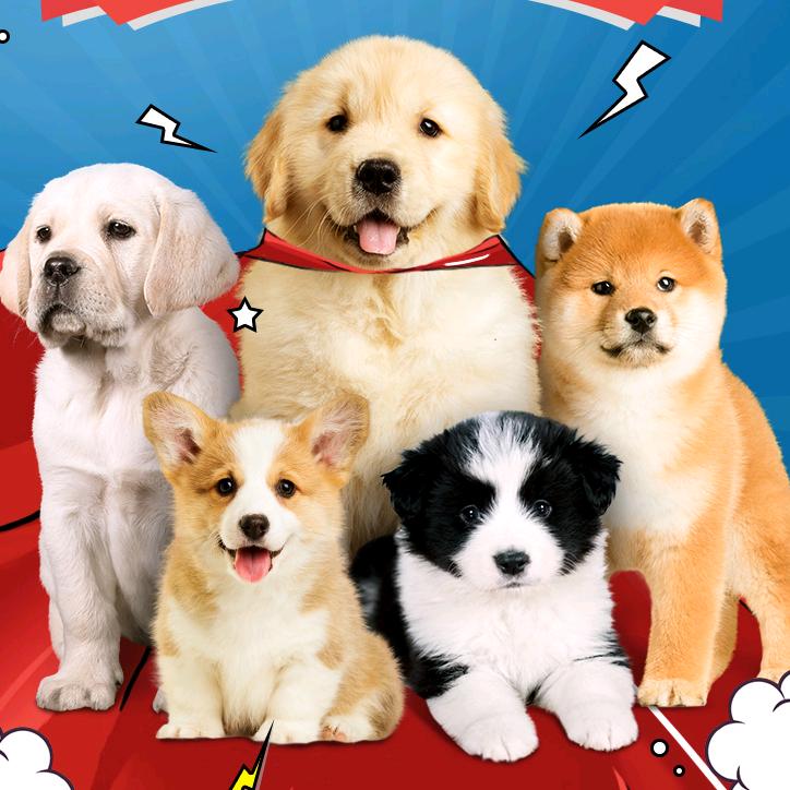 杭州添旺宠物（可上门）