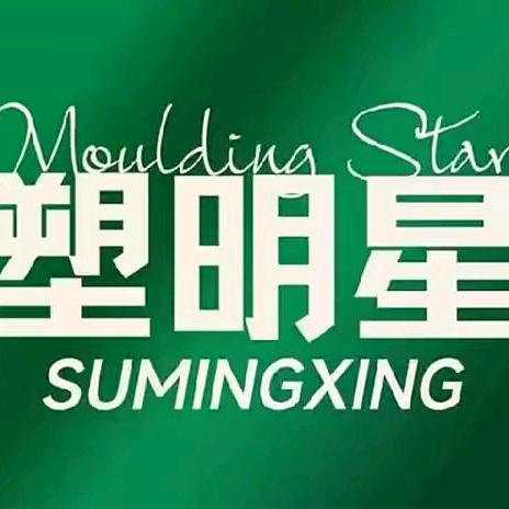 塑明星(胜达小区店)