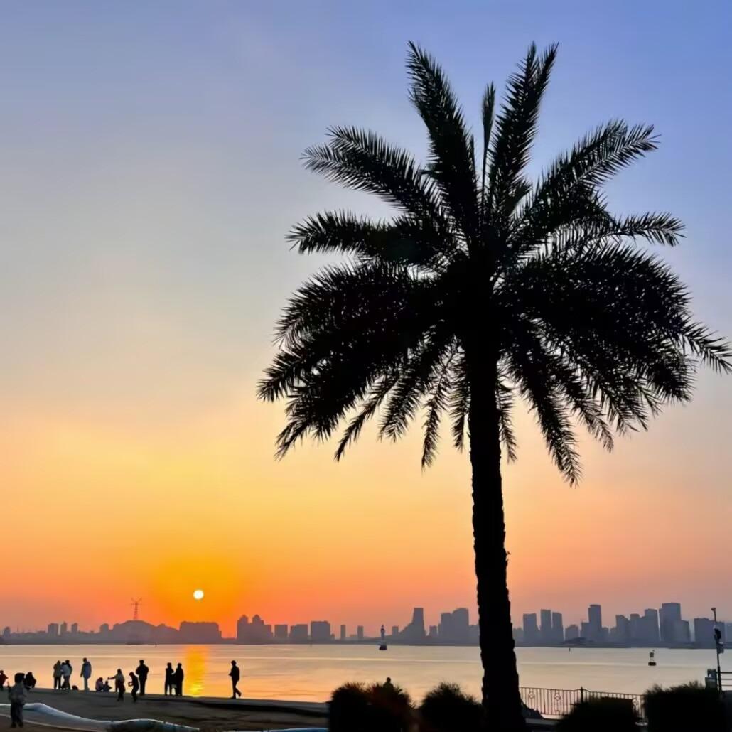 祺彦朝 婷婷-宠粉号