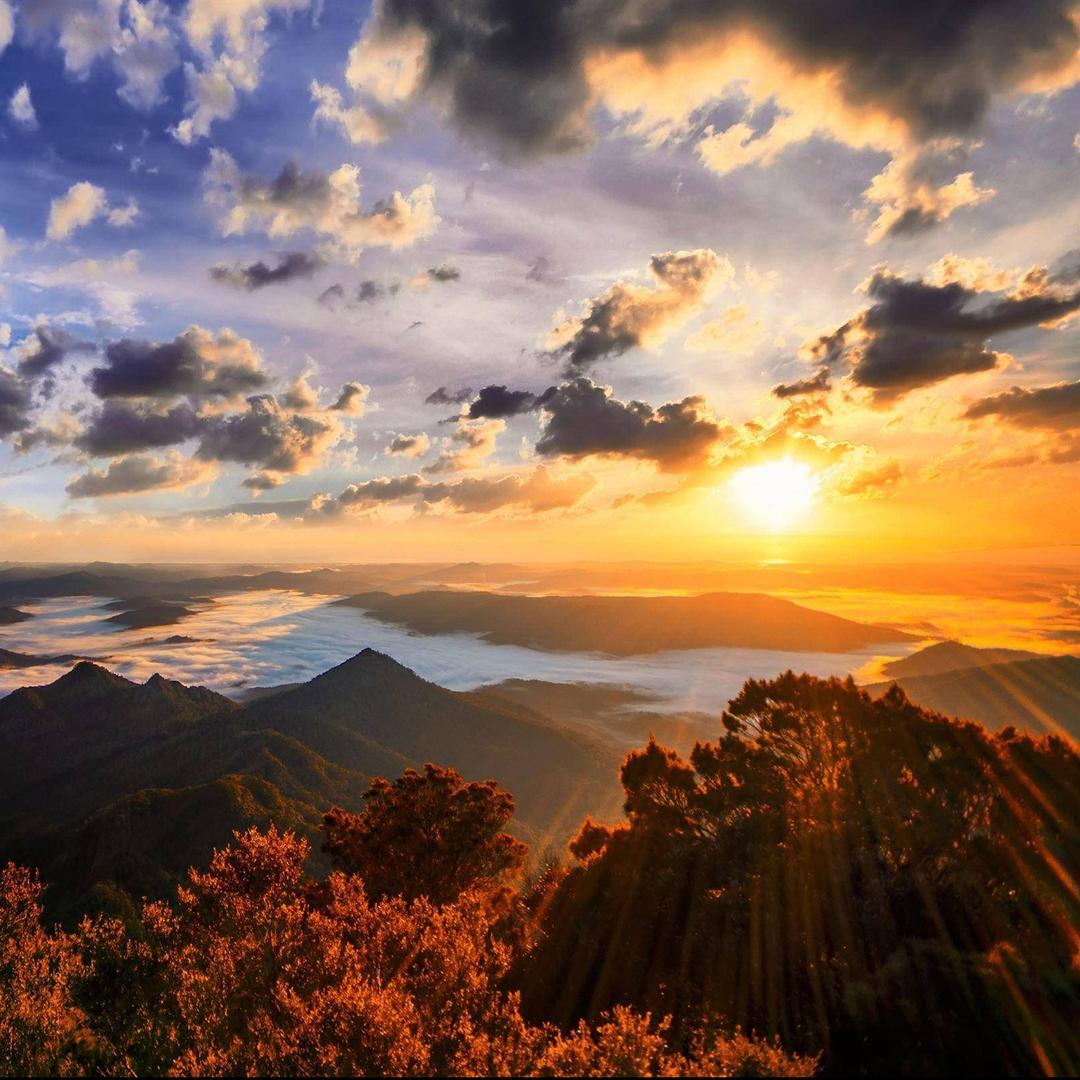 松章五金店大圣呀直播号