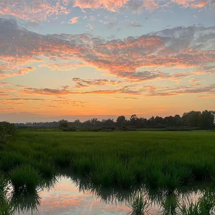 郗凡阳-岚溪-宠粉号
