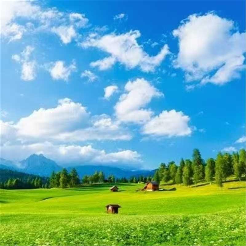 小曼.维谛