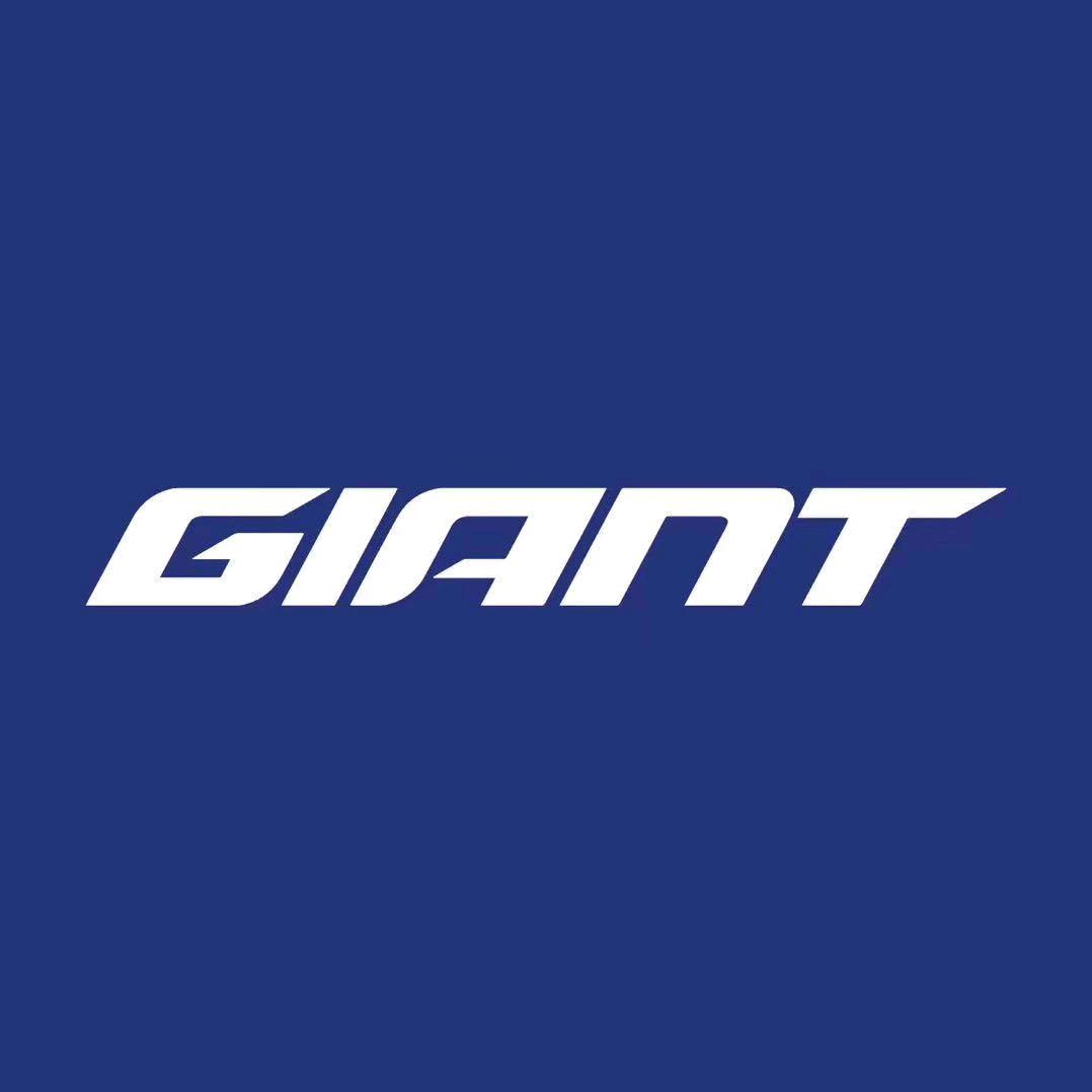 成武🚴‍♀️捷安特🚴GIANT