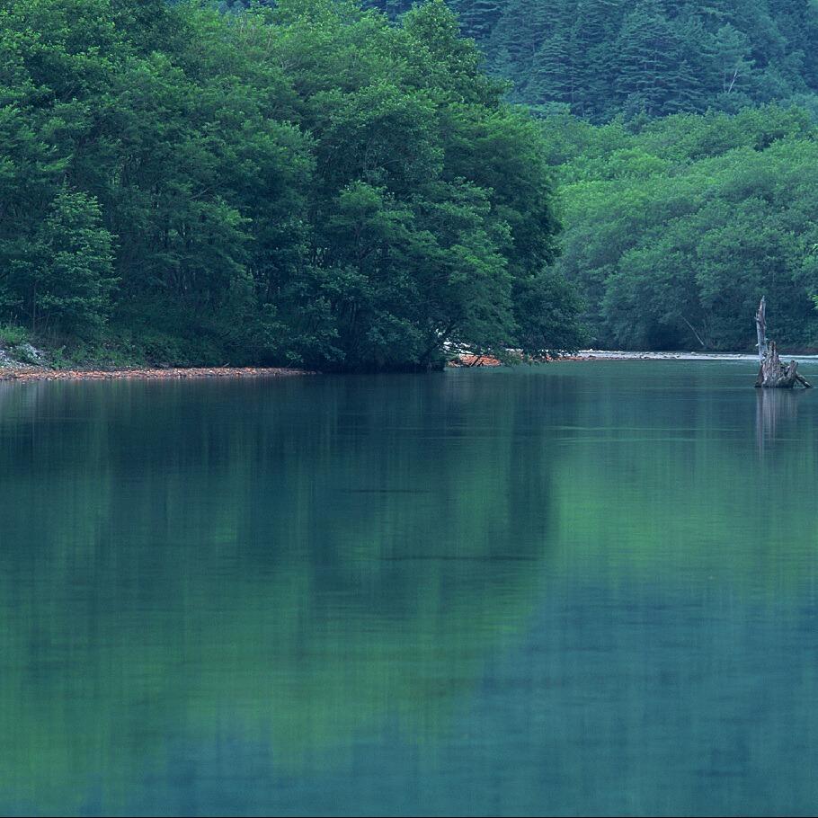 成都长升康雨直播11号
