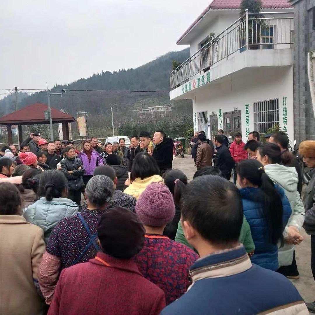 鸭哥在农村