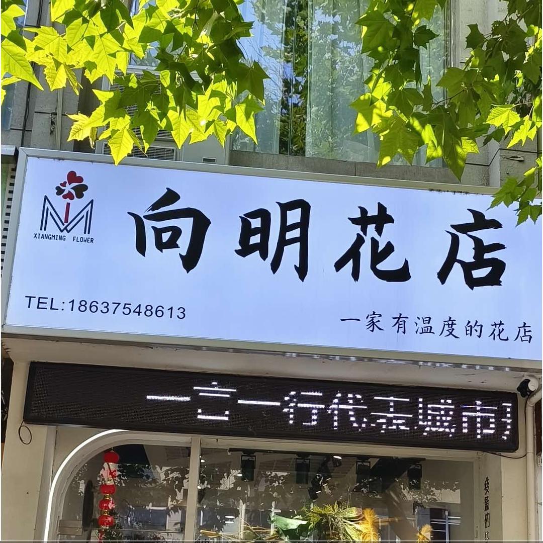 汝州市向明花店
