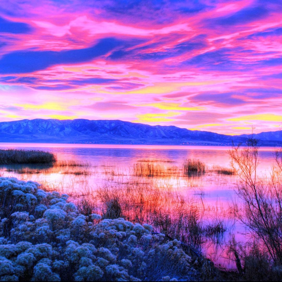 次神~阿宏直播号