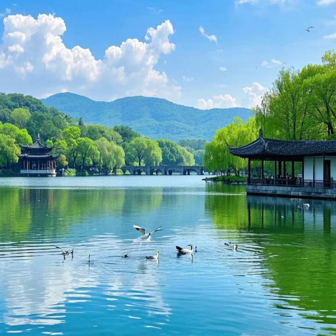 抖满房杭州酒店推荐