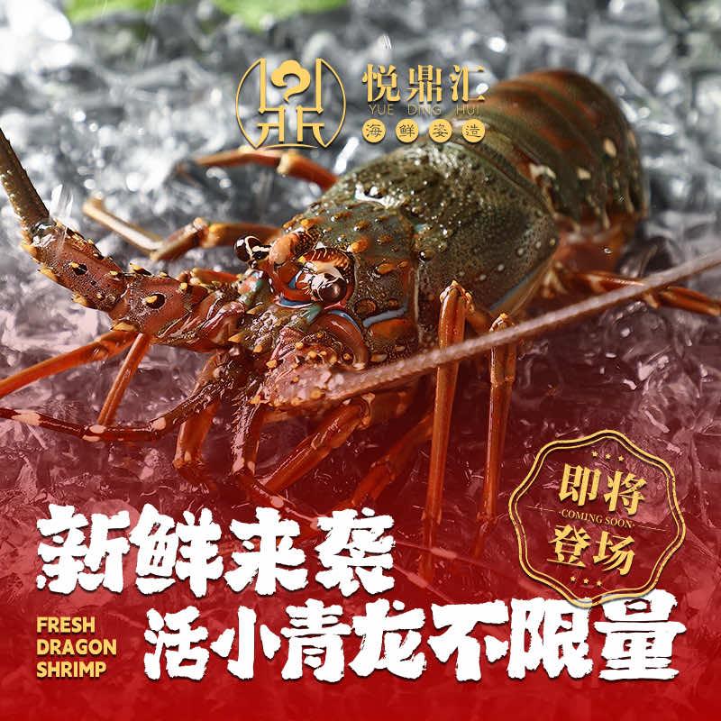 悦鼎汇海鲜姿造鲜活小青龙暢吃