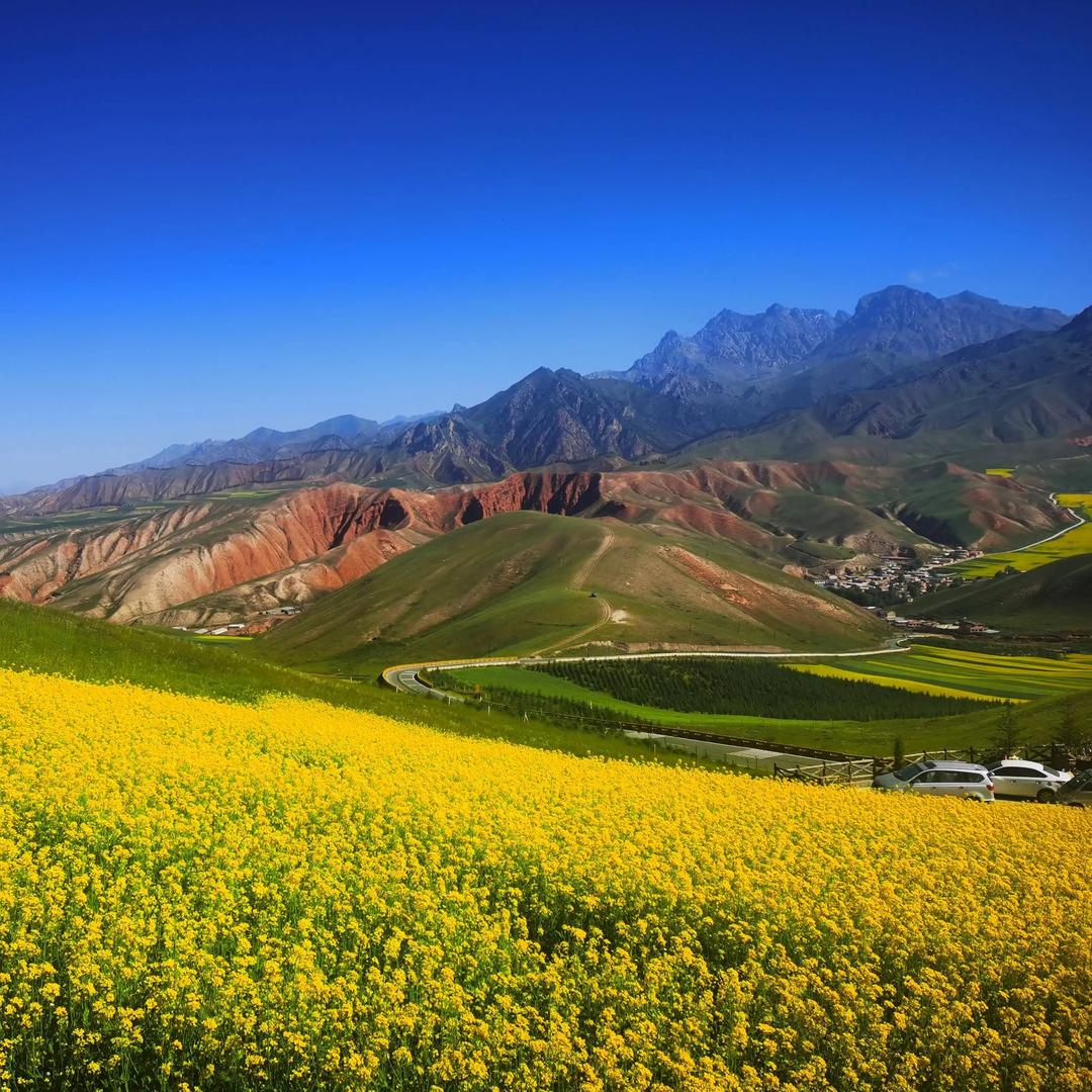 浩史科技貮貮直播号