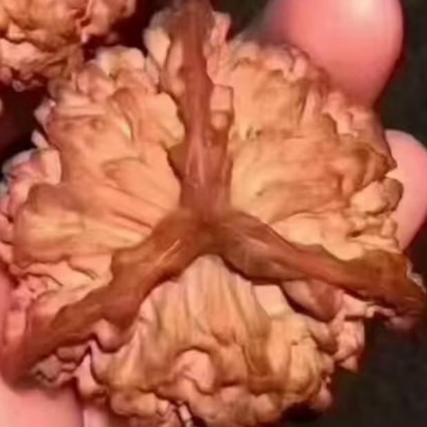 煌威商贸门店核对号