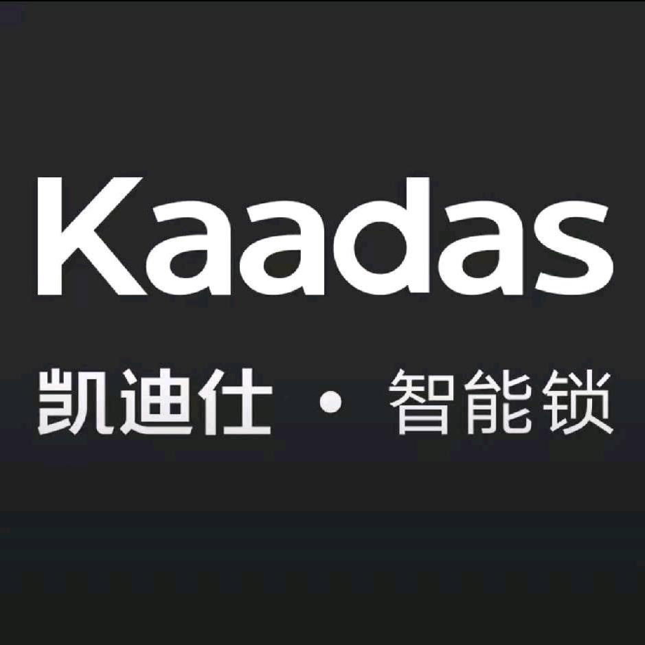 凯迪仕智能锁新沂专卖店