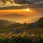 重庆木梓雨药房有限公司66直播号