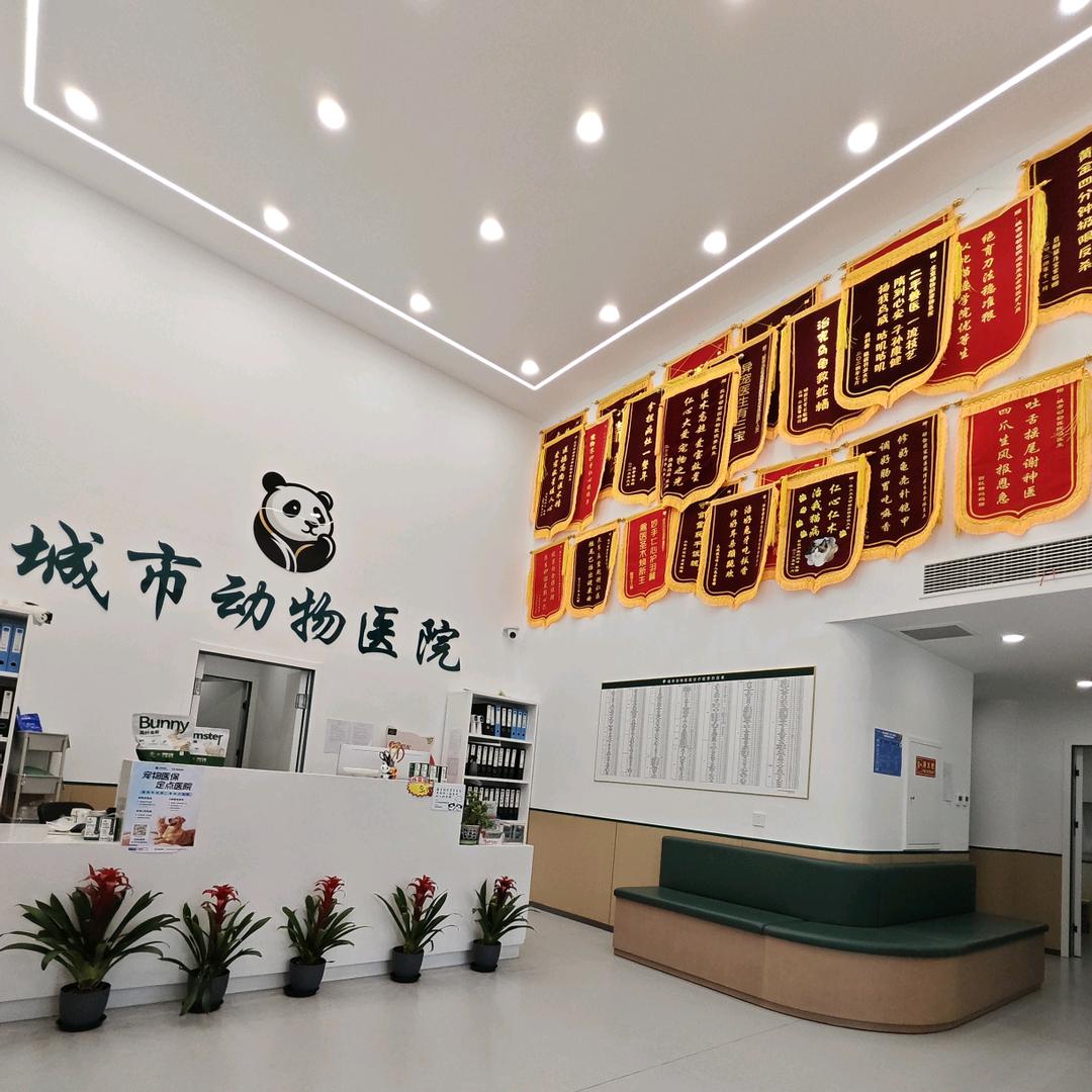城市动物医院 异宠专科 犬猫全科