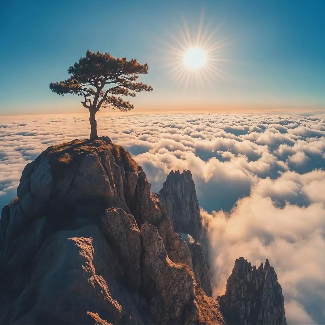 佰味集团直播号