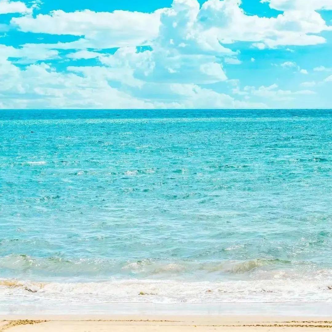 恩兆海口路直播号