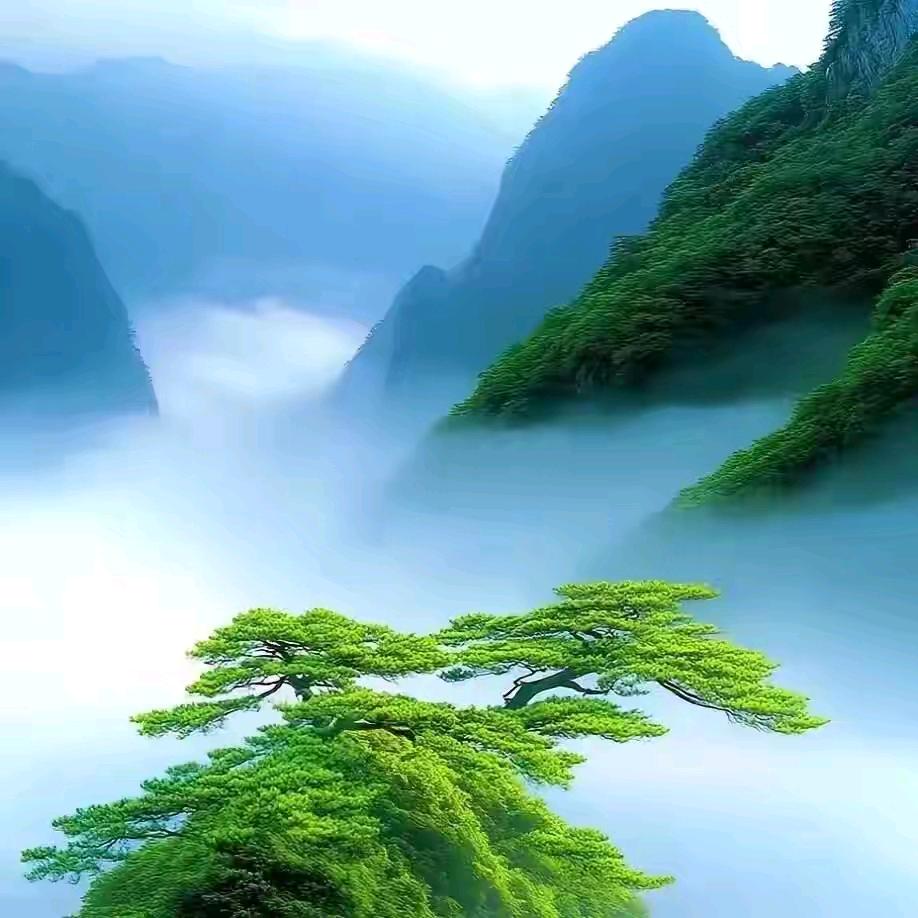 老君山-勿忘山休闲民宿官方号