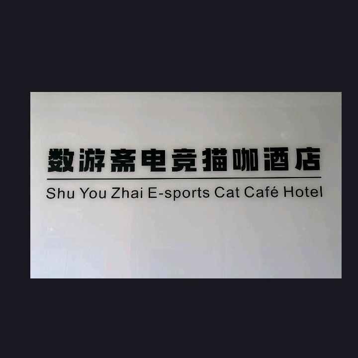 数游斋电竞猫咖酒店