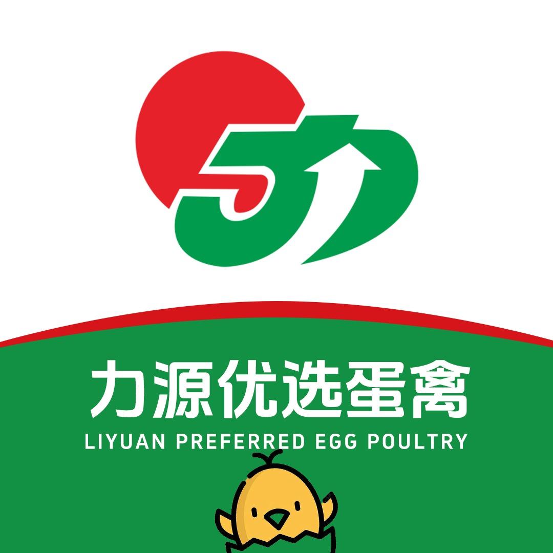力源优选蛋禽