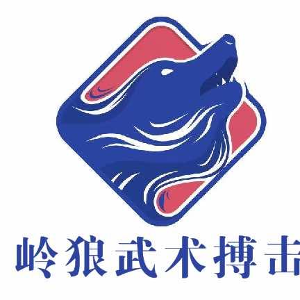 关岭岭狼武术搏击官方号