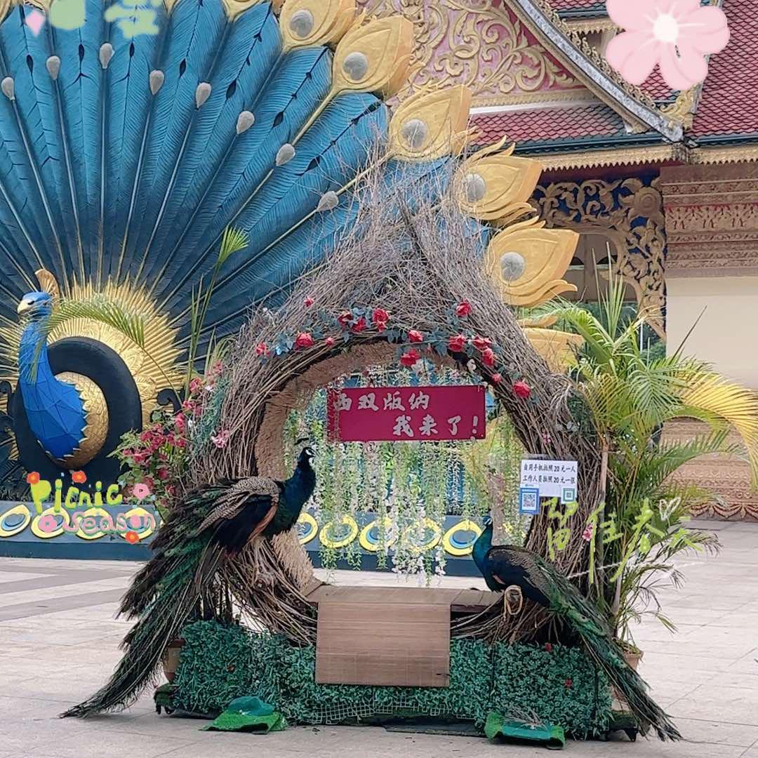 金之俏美容养生会馆官方号（叶庄店）