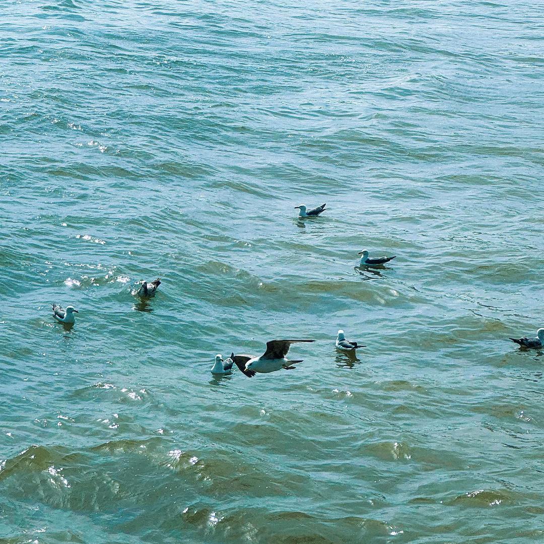 爱优力(天河·新天地店)官方号