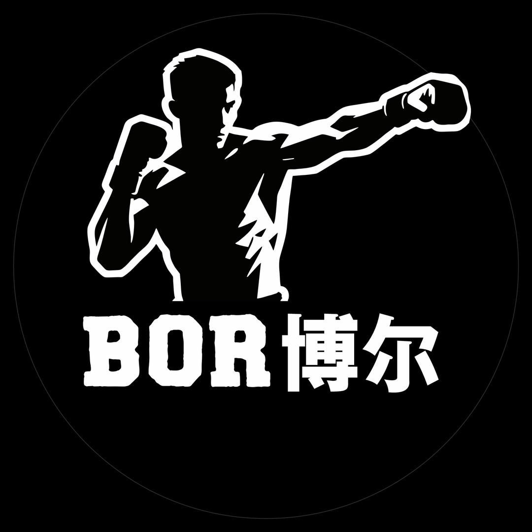 博尔散打·搏击