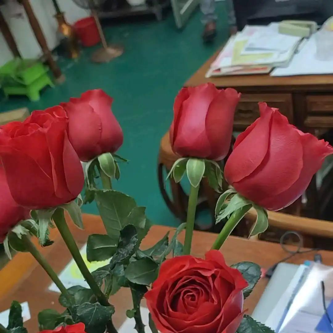 罗森便利店(天河南二路店)阞1直播号