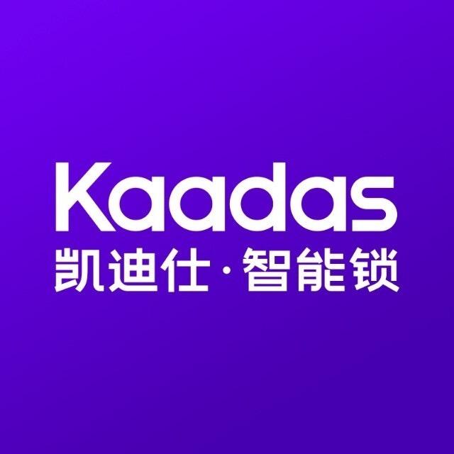 阿伟凯迪仕智能锁(商水亚龙国际旗舰店)