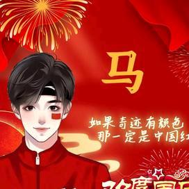 河北骏硕贸易有限公司