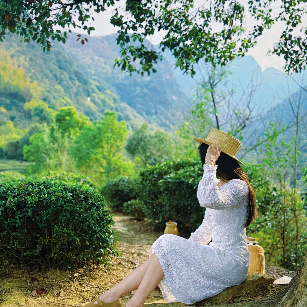 御景茗茶吴小姐的茶