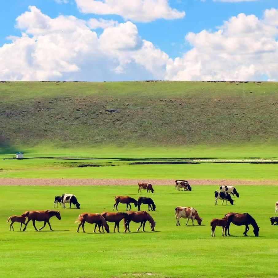 导游田田（内蒙古冬旅旅游文化有限公司）