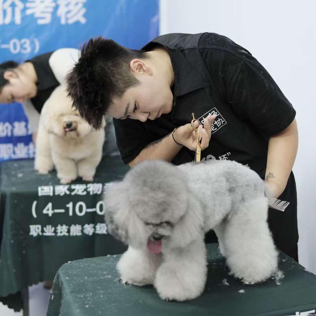 莎车猫肥狗壮宠物生活馆