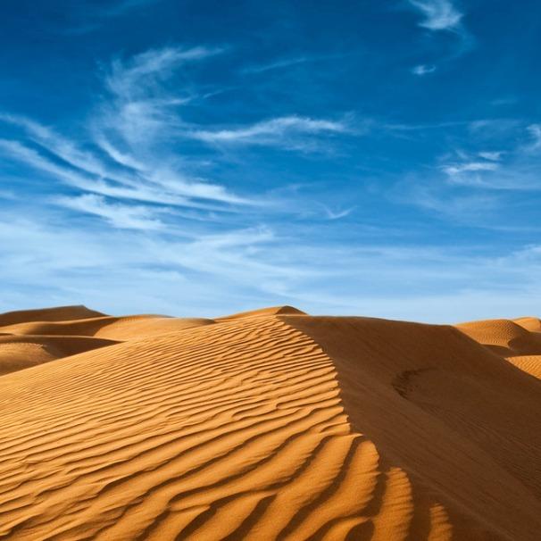 深圳市立展贸易小希