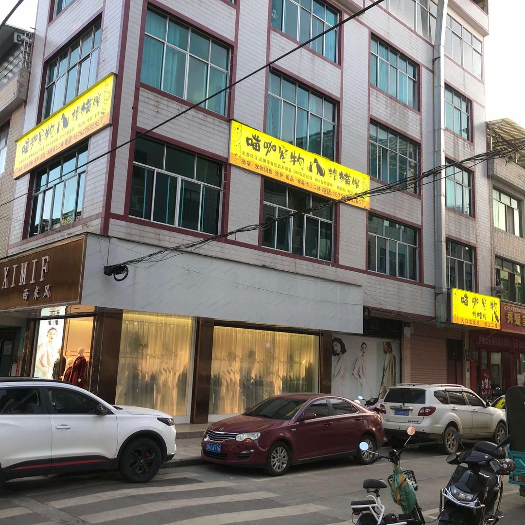 喵咖宠物（撸猫馆）马关店