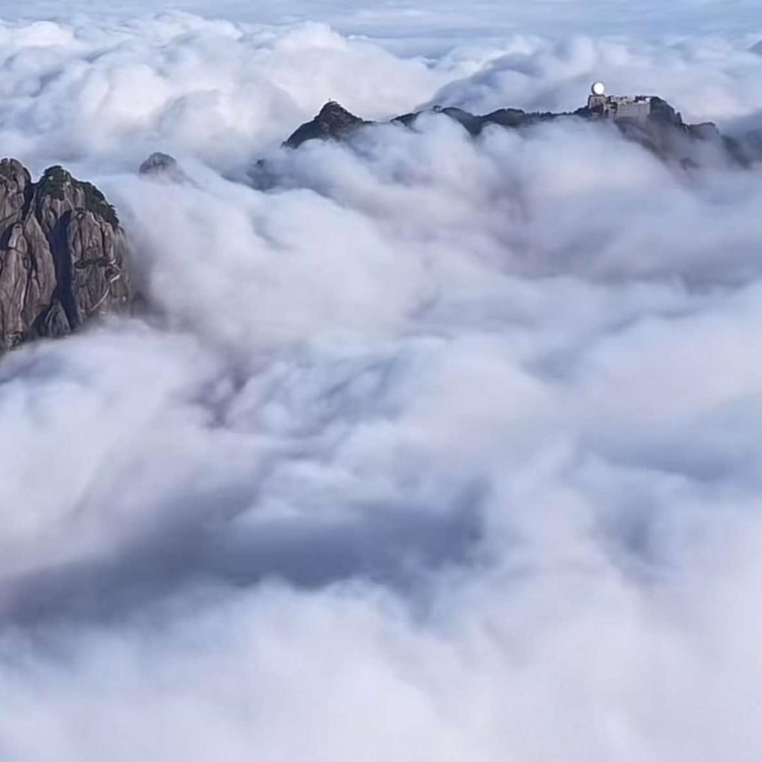 子龙烧烤 京新大街店
