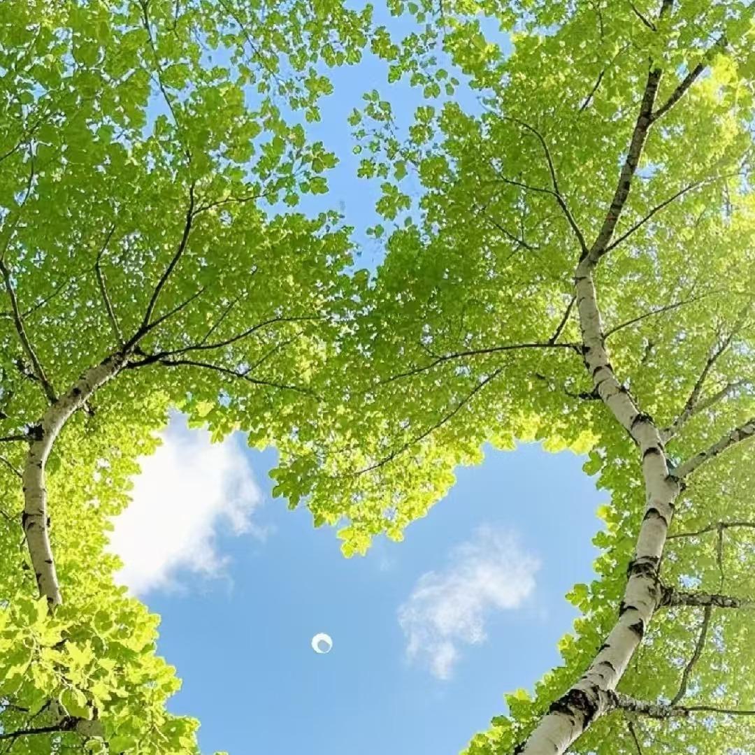 广州国洁商贸有限公司