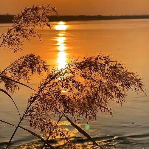 东莞市瑾庭服装有限公司3直播号