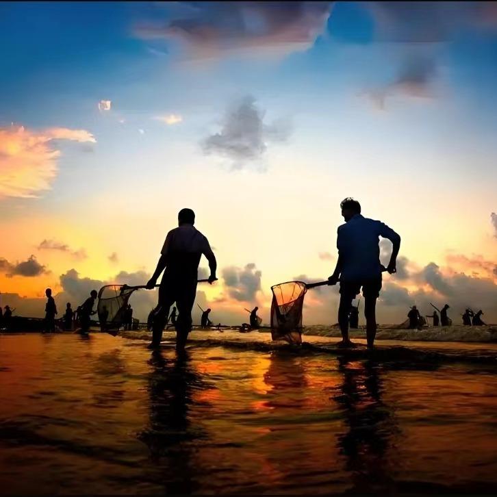 北海海鲜·赶海·民宿(海光拾色)