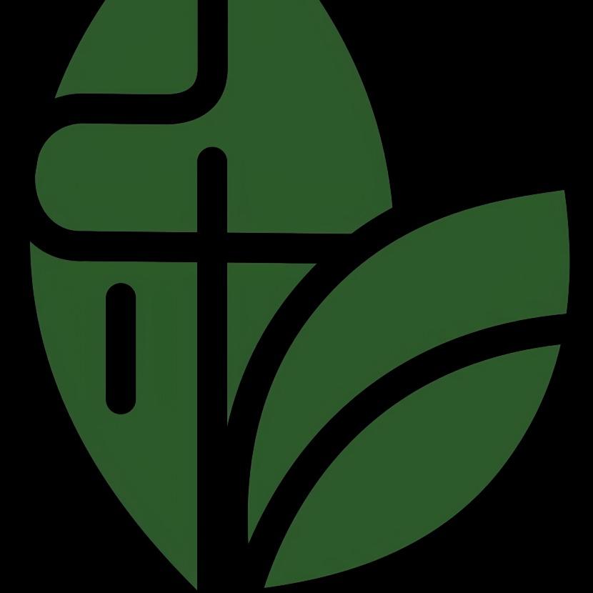 乐之营地宠粉号