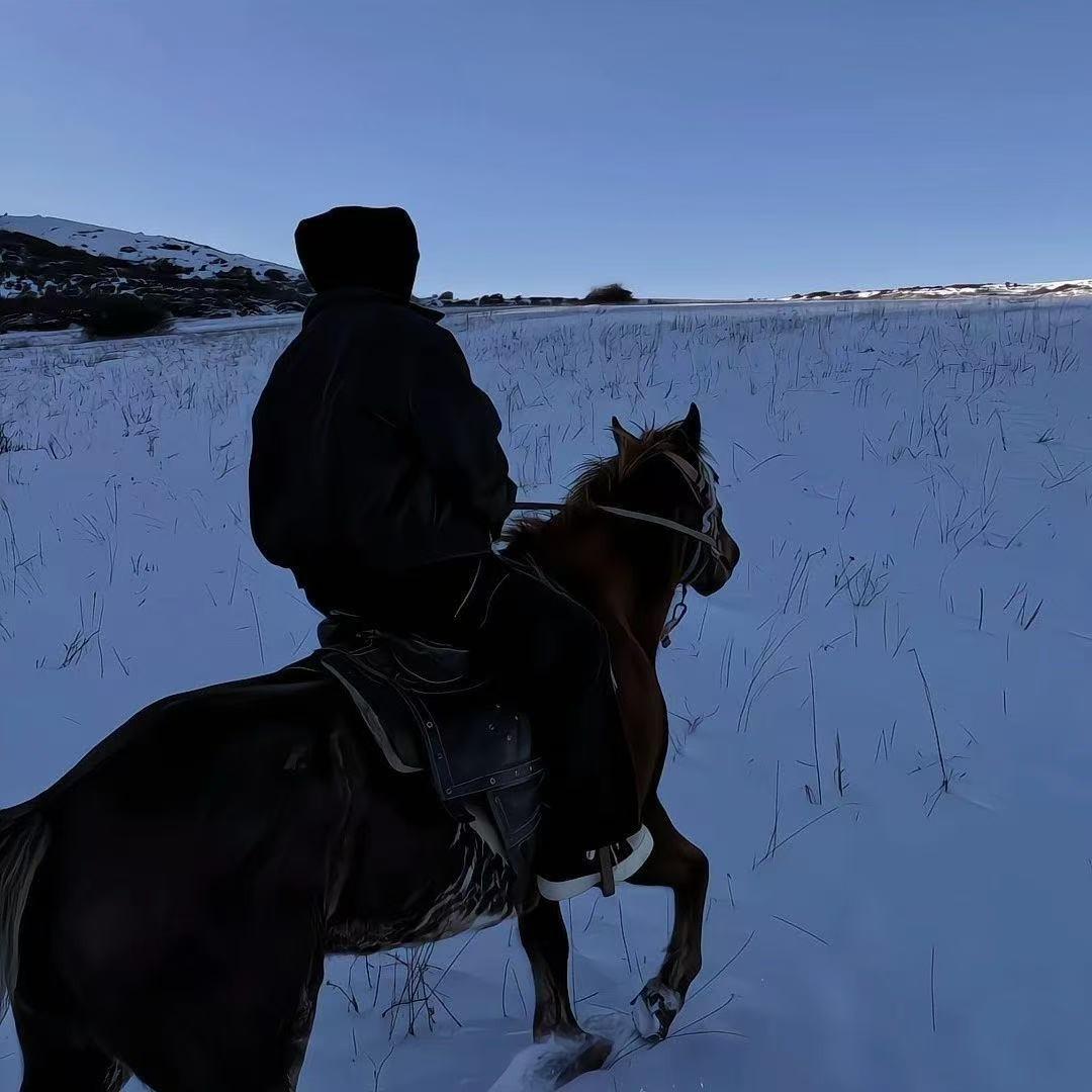 竟阳-小鲨电商-号